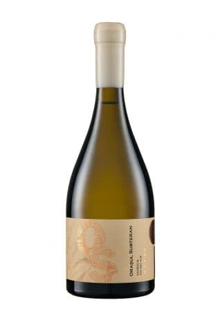 O.S. VIORICA CRICOVA